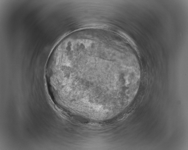 X0000082170907200702092240