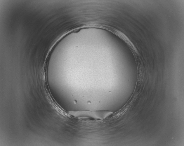 X0000082170908200702092240