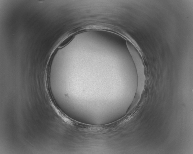 X0000082170909200702092240