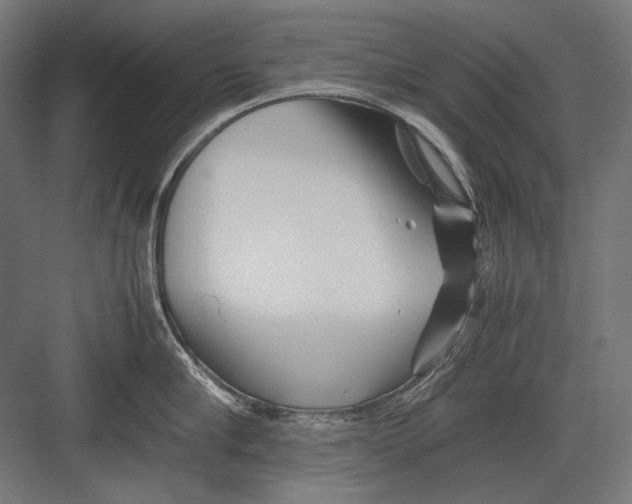 X0000082170910200702092240