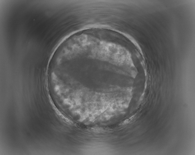 X0000082170911200702092240