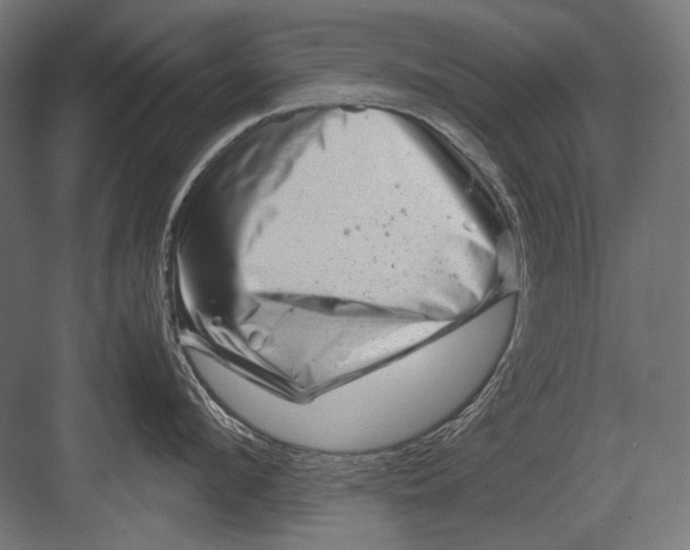 X0000082170912200702092240