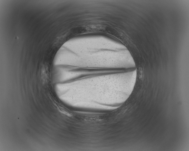 X0000082170915200702092239