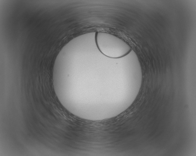 X0000082170916200702092239