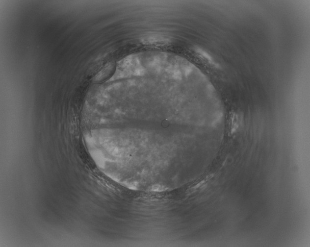 X0000082170917200702092239