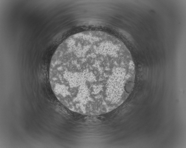 X0000082170918200702092239