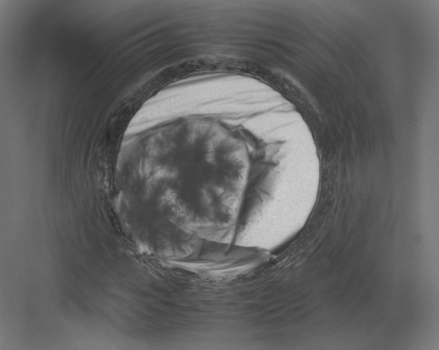 X0000082170919200702092239