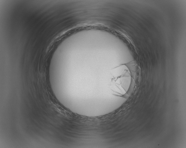 X0000082170920200702092239