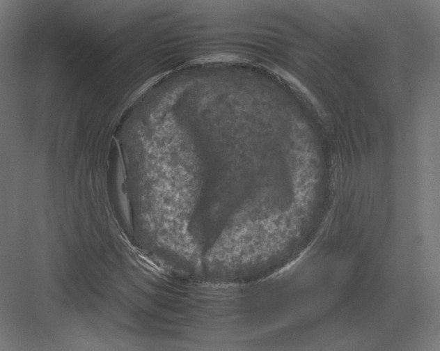 X0000082170921200702092239