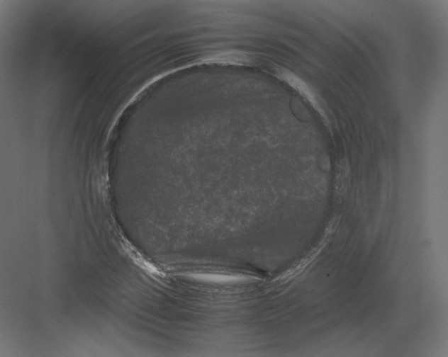 X0000082170923200702092239