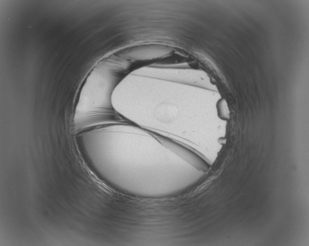 X0000082170924200702092239