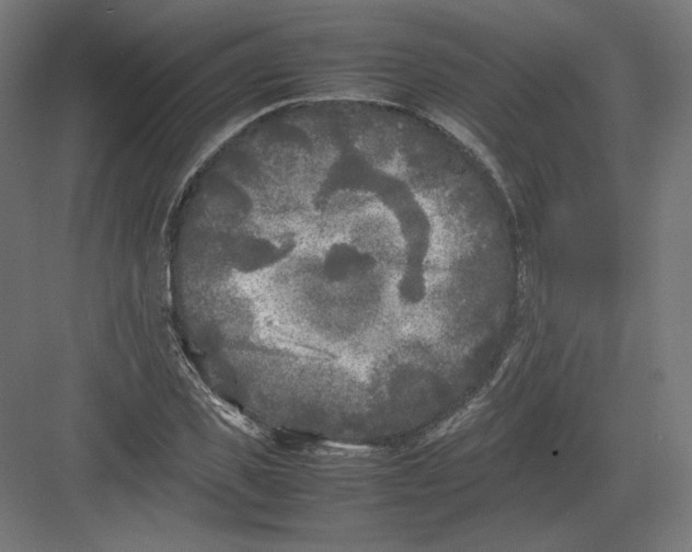 X0000082170925200702092239