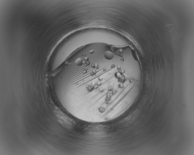 X0000082170926200702092239