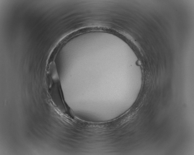 X0000082170927200702092239