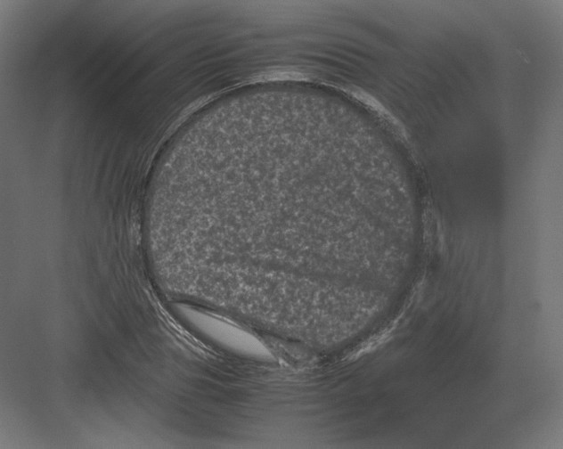 X0000082170929200702092240