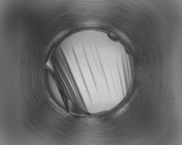 X0000082170930200702092240