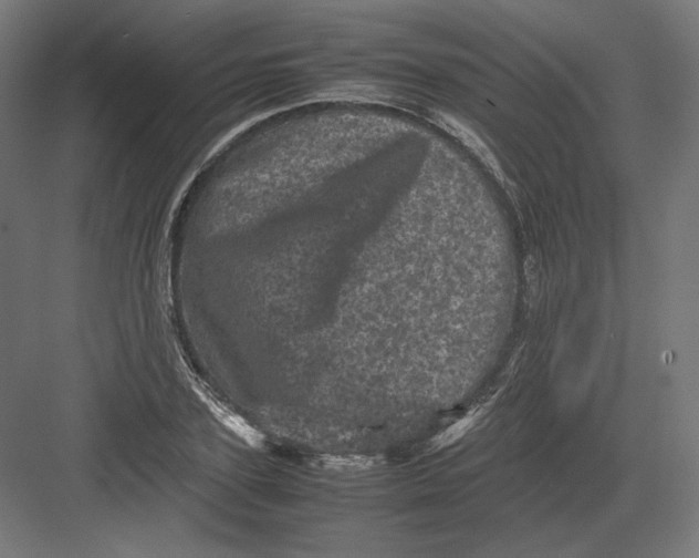 X0000082170931200702092240