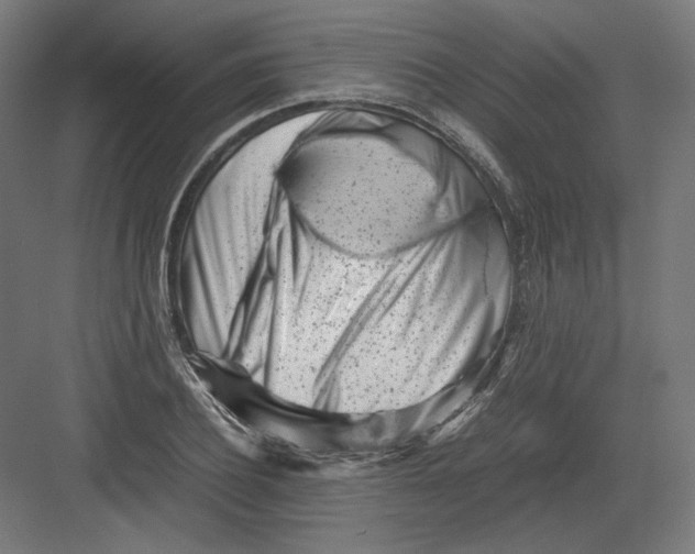 X0000082170932200702092240