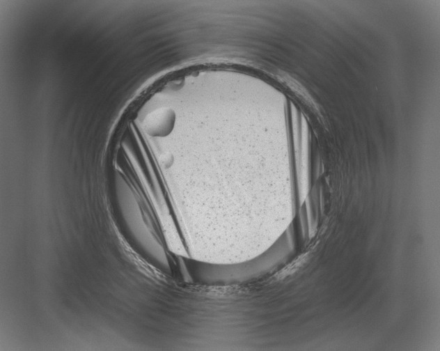 X0000082170934200702092240