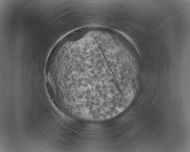 X0000082170935200702092240