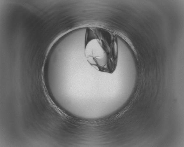 X0000082170936200702092240