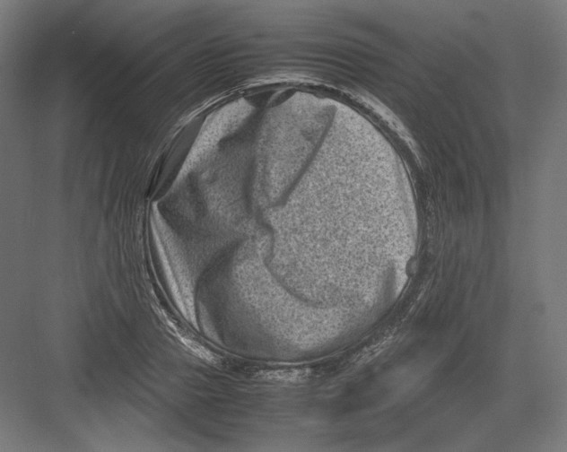 X0000082170937200702092240