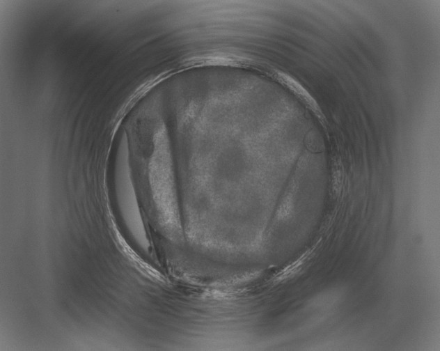 X0000082170938200702092240