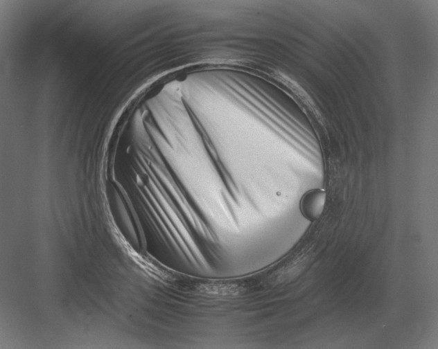 X0000082170939200702092240