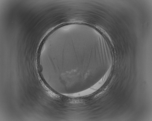 X0000082170941200702092240