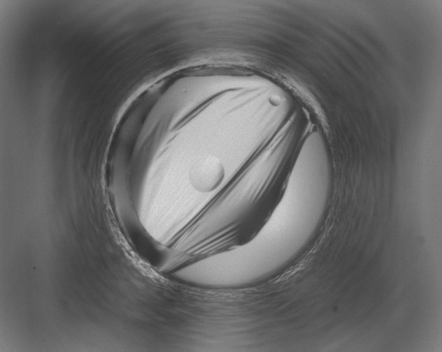 X0000082170944200702092240