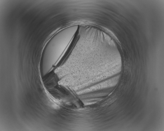 X0000082170946200702092240