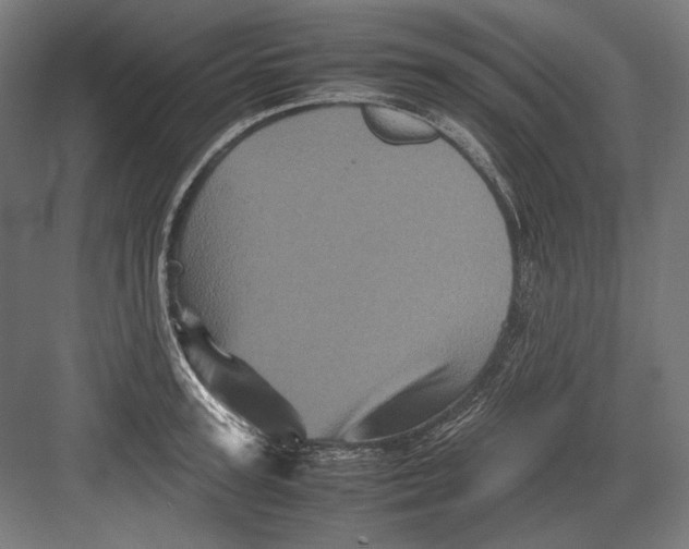 X0000082170947200702092240