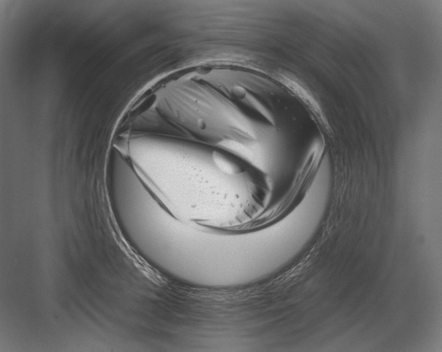 X0000082170948200702092240