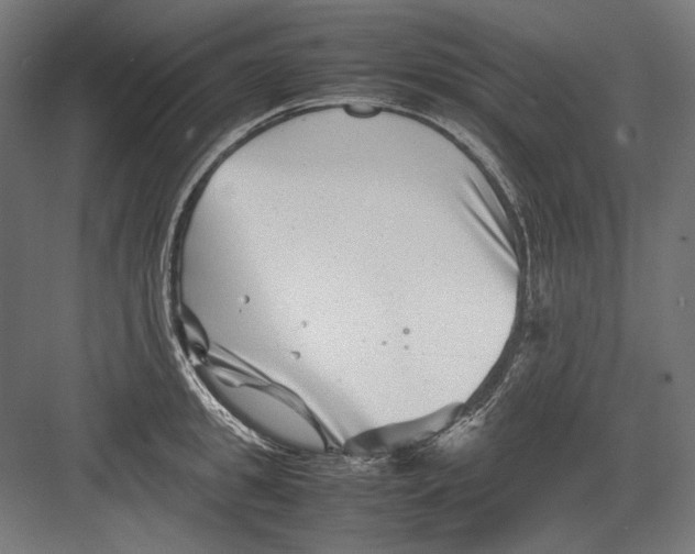 X0000082170949200702092240