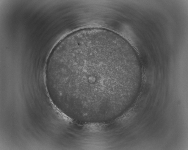 X0000082170950200702092240