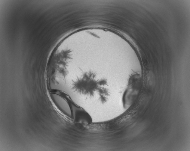 X0000082170951200702092240