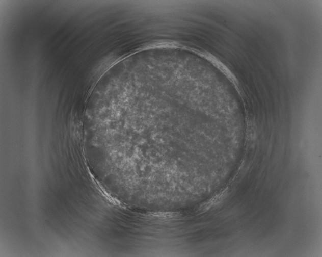 X0000082170953200702092240