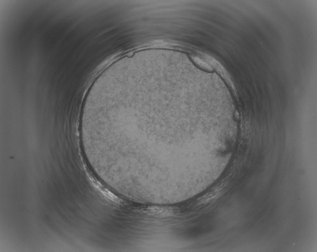 X0000082170954200702092240