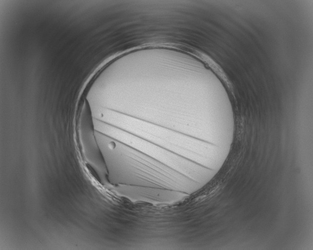 X0000082170955200702092240