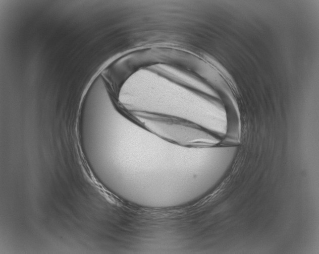 X0000082170956200702092240