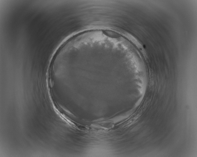 X0000082170958200702092240