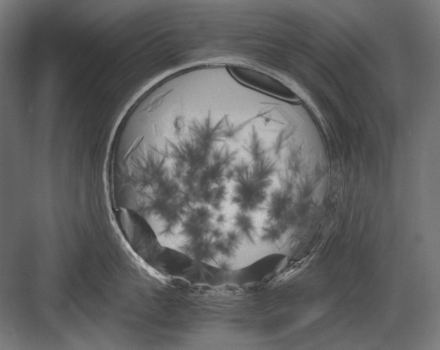 X0000082170959200702092240