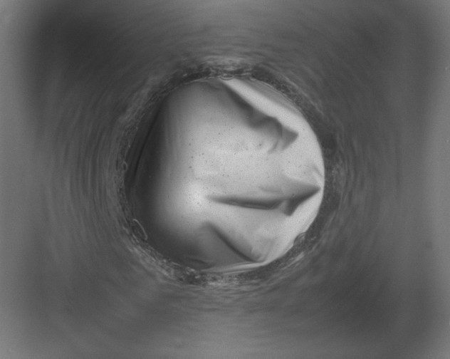 X0000082170961200702092239