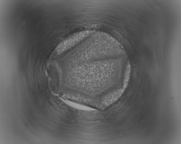 X0000082170962200702092239