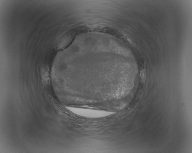 X0000082170963200702092239