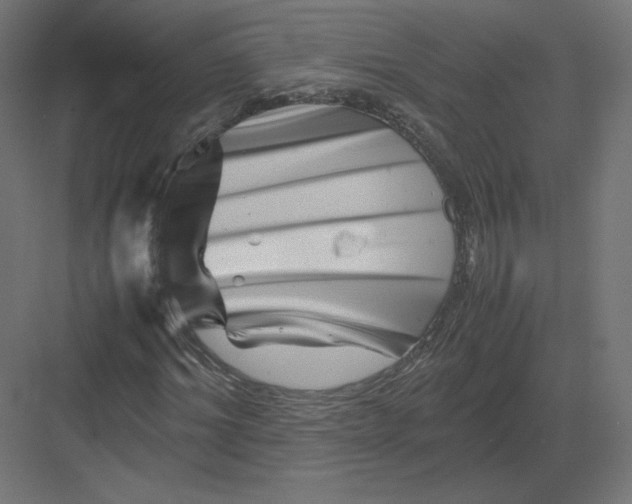 X0000082170964200702092239