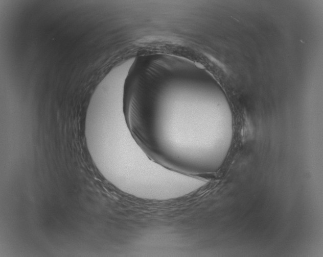 X0000082170965200702092239