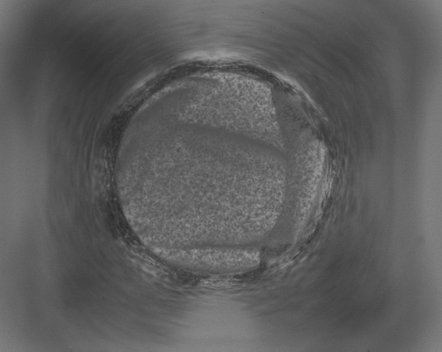 X0000082170967200702092239