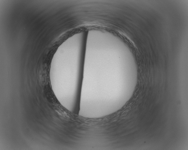 X0000082170968200702092239