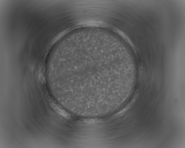 X0000082170970200702092239